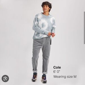 Stoic Corduroy Belted Pants in Grey